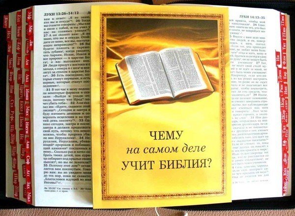 «Свидетели Иеговы» в Кирове распространяли запрещенную литературу. Фото: bryansku.ru