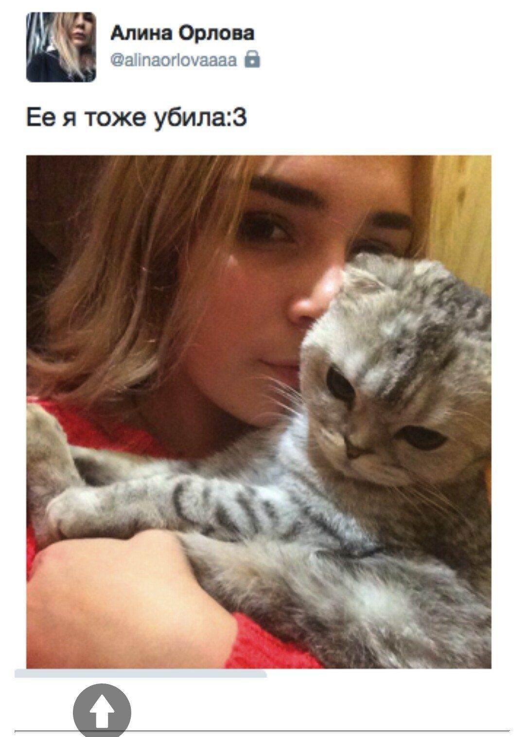 Хабаровские живодерки последние новости: СКР добрался до причастности живодерок к секте