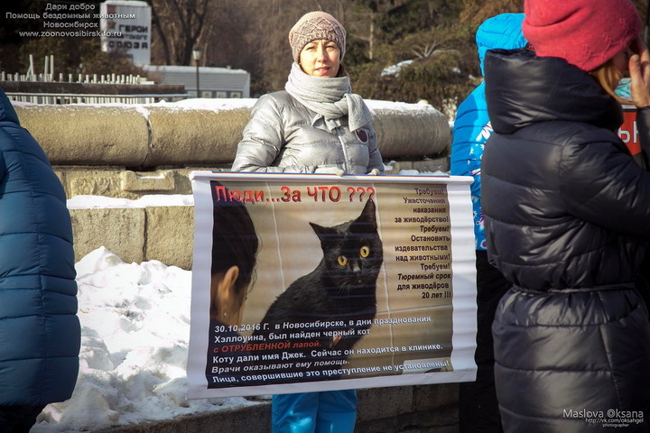 Хабаровские живодерки последние новости: СКР добрался до причастности живодерок к секте