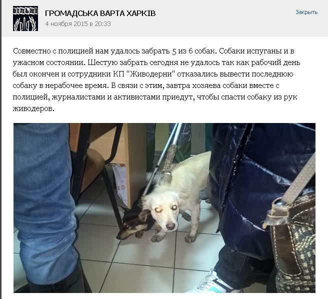 Избиение журналистов и другие похождения Валика и Ко