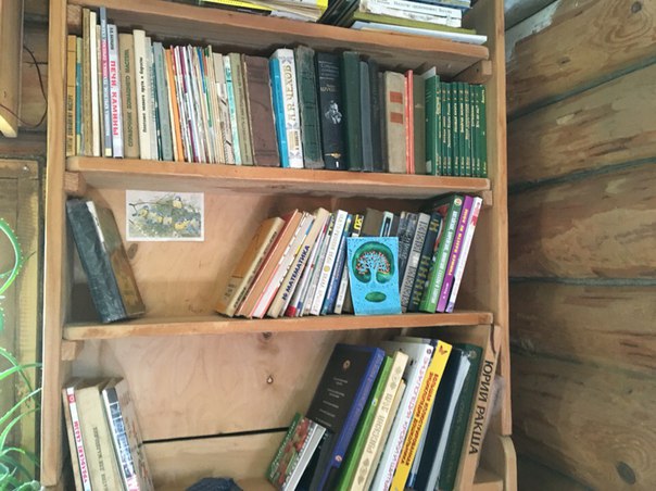 Вдохновившись книгами Мегре, участники селения «Колыбель» переехали из города на природу ради идеальной жизни