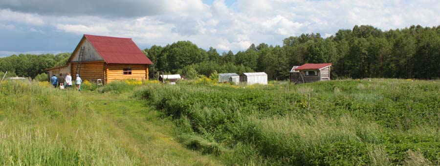 Они ушли жить в лес, продав всё. В Барышском районе процветает секта?