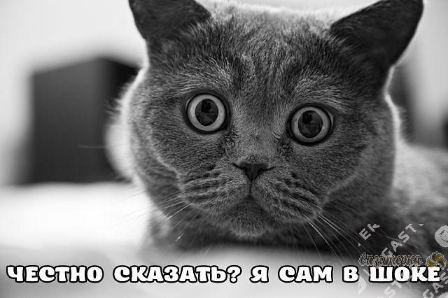 Очередная ложь с официального сайта Национально-Освободительного движения (НОД)