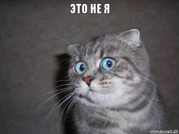 "ОБЩЕСТВО СОЗНАНИЯ КРИШНЫ ОТВЕТСТВЕННОСТИ НЕ НЕСЕТ"!