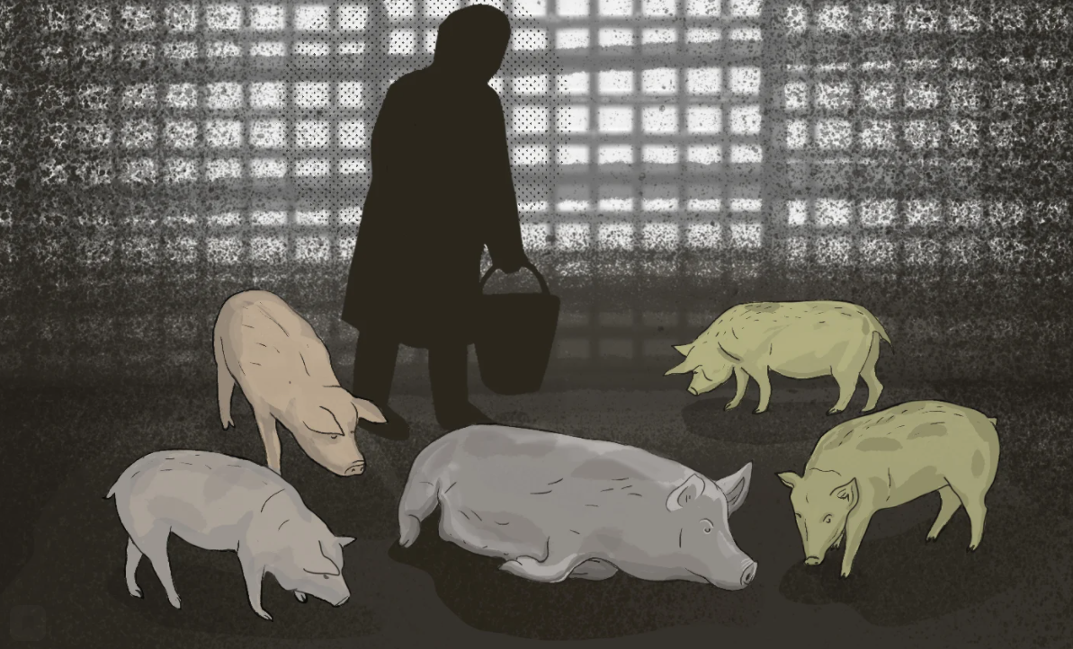 Терминальные меры. Следственный комитет и РПЦ против старца, чьи адепты не возвращаются домой