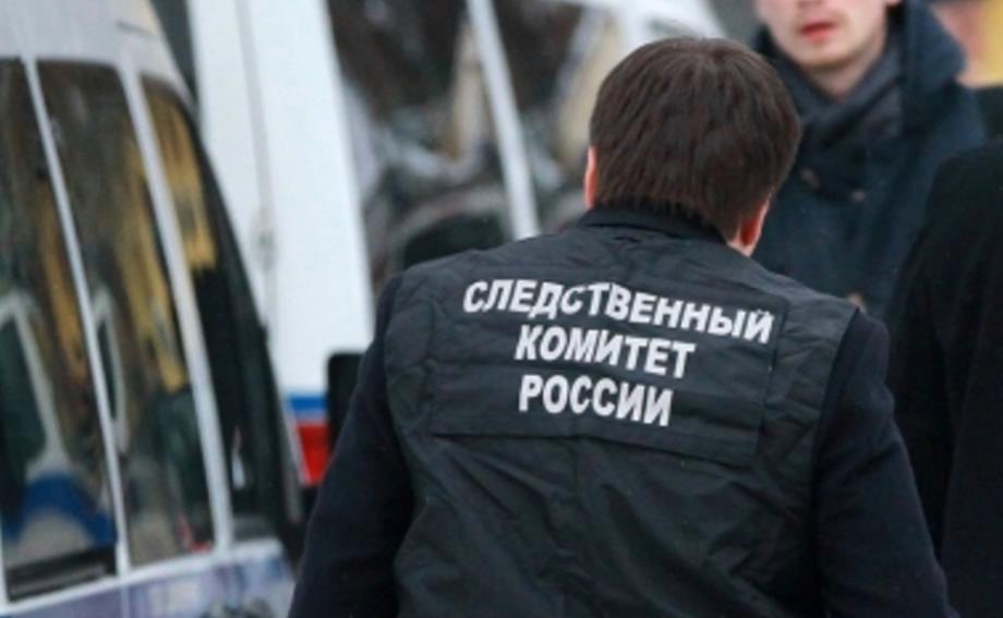 В Самаре предстанут перед судом последователи Светланы Лады-Русь