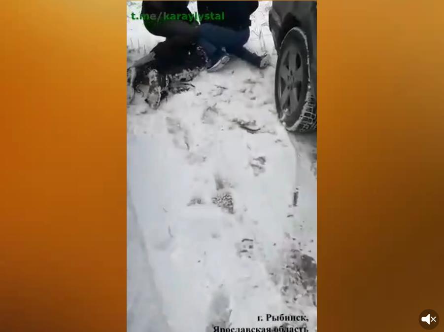В Рыбинске вынесли приговоры членам секты «СССР»