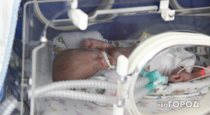 Фото с сайта: http://progorodnn.ru/news/70735